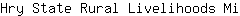 H***i