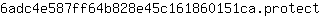 6***t