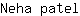 N***l