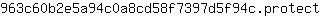 9***t