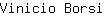 V***i