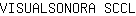 V***L