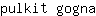p***a