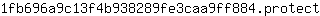 1***t