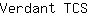 V***S