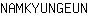 N***N