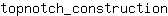 t***n
