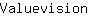 V***n