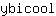 y***l