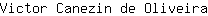 V***a