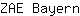 Z***n