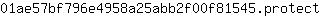 0***t