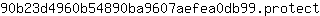 9***t