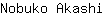 N***i