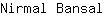 N***l