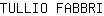 T***I