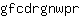 g***r