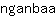 n***a