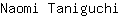 N***i