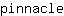 p***e