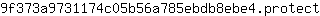 9***t