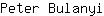 P***i