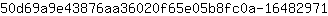 5***1