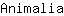 A***a