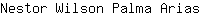 N***s