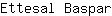 E***r