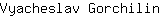 V***n