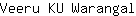 V***l
