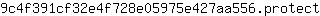 9***t