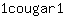 1***1