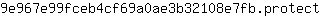 9***t