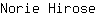 N***e