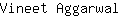 V***l