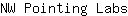 N***s