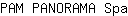 P***a