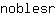 n***r