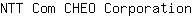 N***n