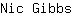 N***s