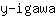y***a