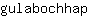g***p