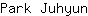 P***n