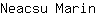 N***n