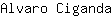 A***a
