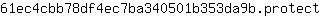 6***t