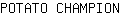 P***N