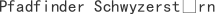 P***n